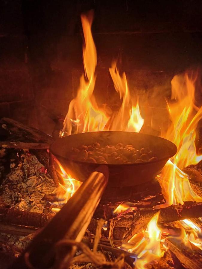 La Casa Nel Bosco Hotel La Spezia Eksteriør billede
